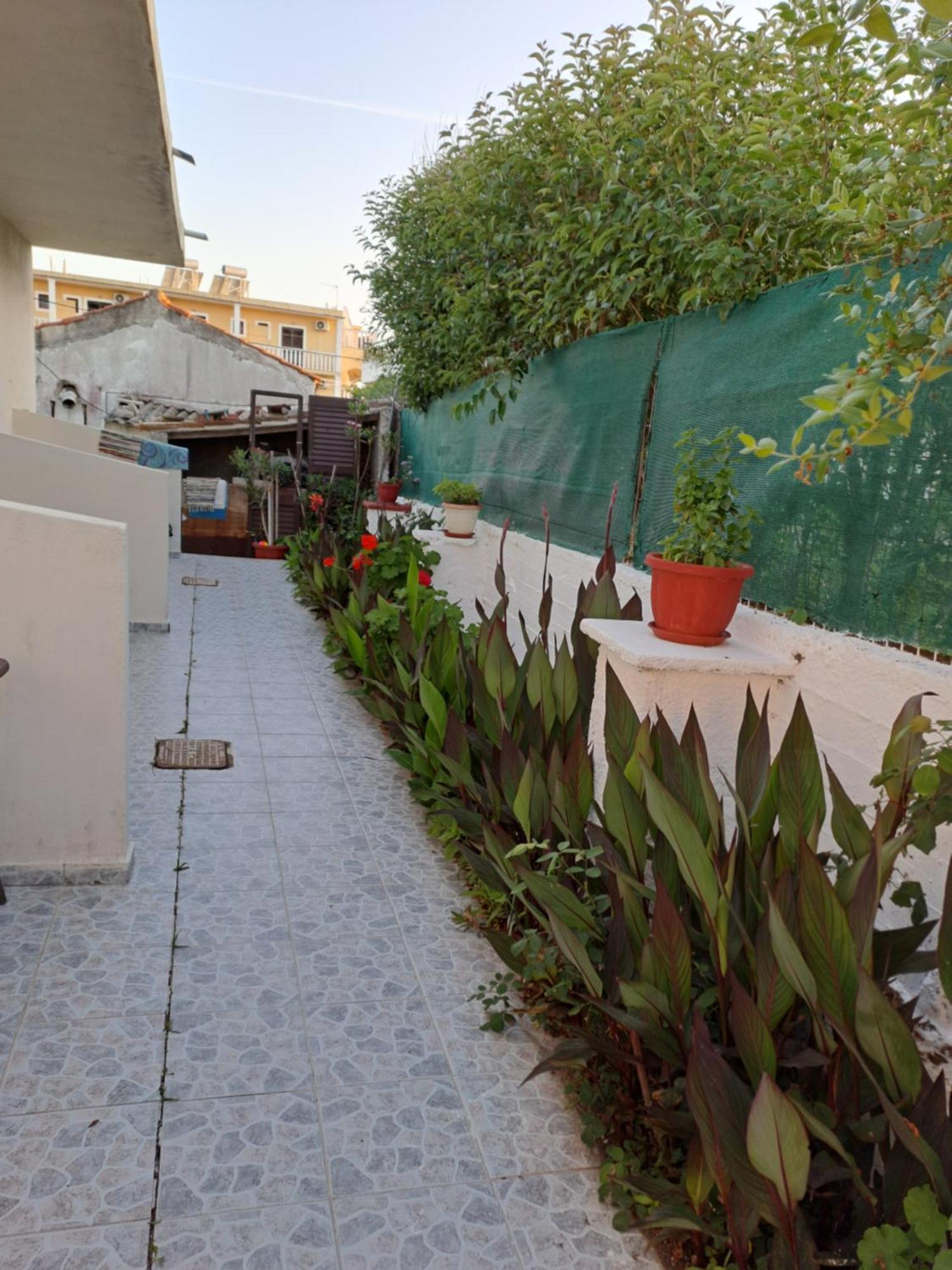 Tony'S Apartments Агиос Георгиос Екстериор снимка